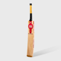 Hitter Bat